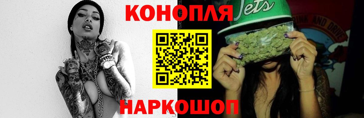 Конопля ГИДРОПОН Балтийск